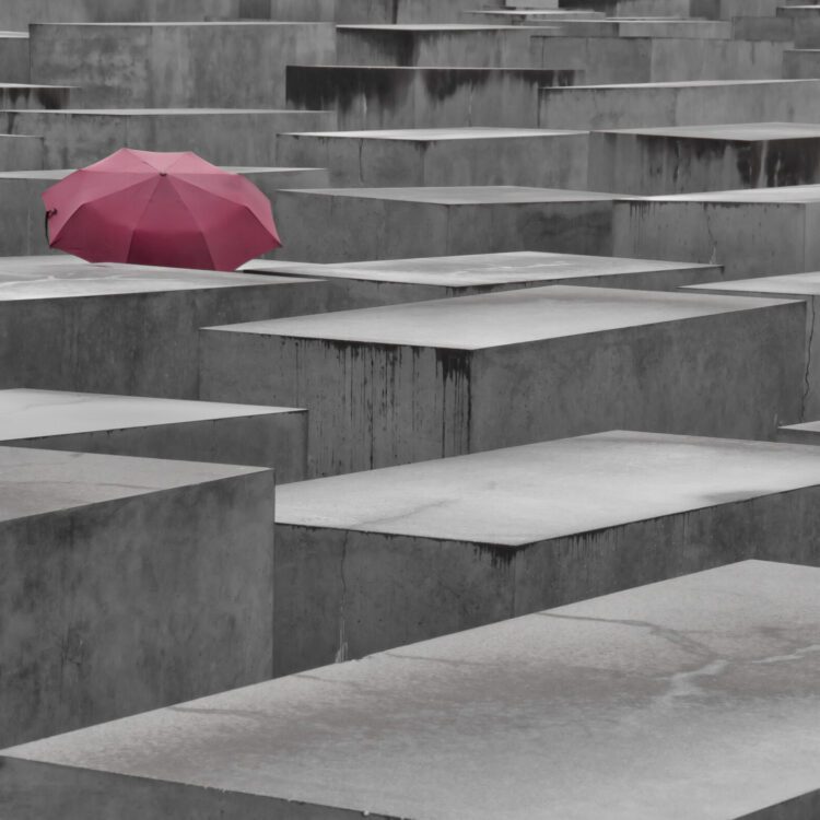 Immagini dalla galleria Spotlight