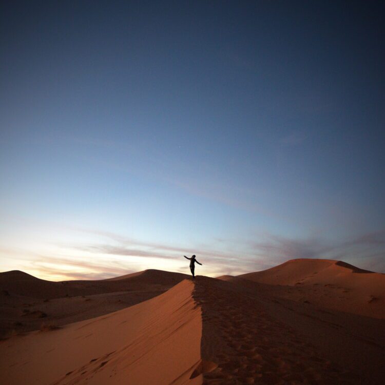 Immagini dalla galleria Spotlight