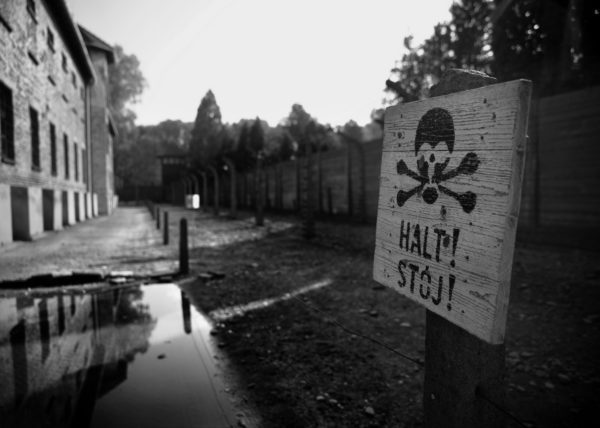 Ask the dust (Daniele Ferretti)
