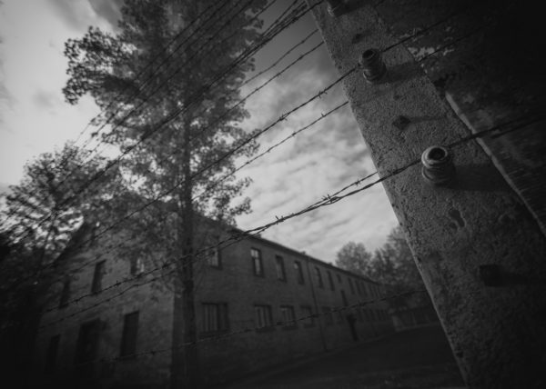 Ask the dust (Daniele Ferretti)