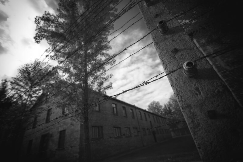 Immagine della serie fotografica “Ask the dust”