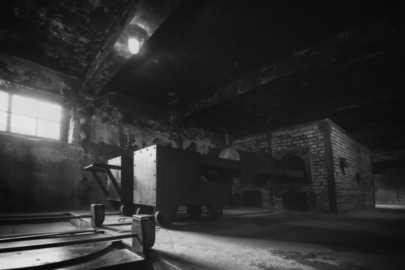 Immagine della serie fotografica “Ask the dust”