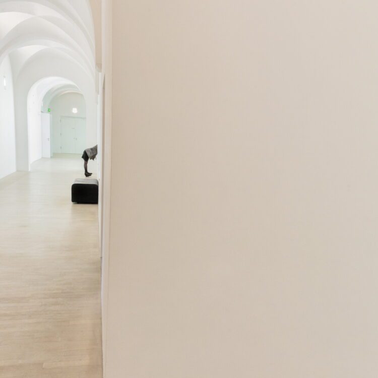 Immagini dalla galleria Spotlight