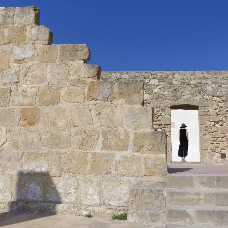 Immagini dalla galleria Spotlight