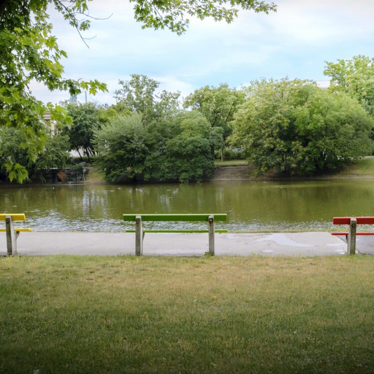 Immagini dalla galleria Spotlight