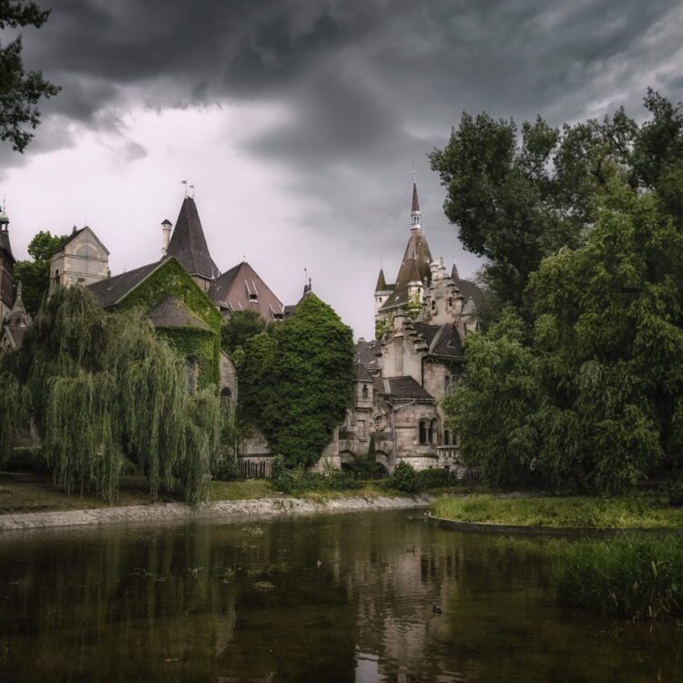 Immagini dalla galleria Spotlight