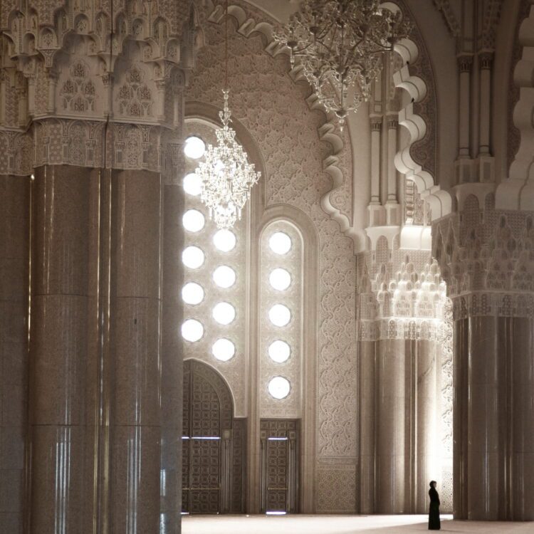 Immagini dalla galleria Spotlight